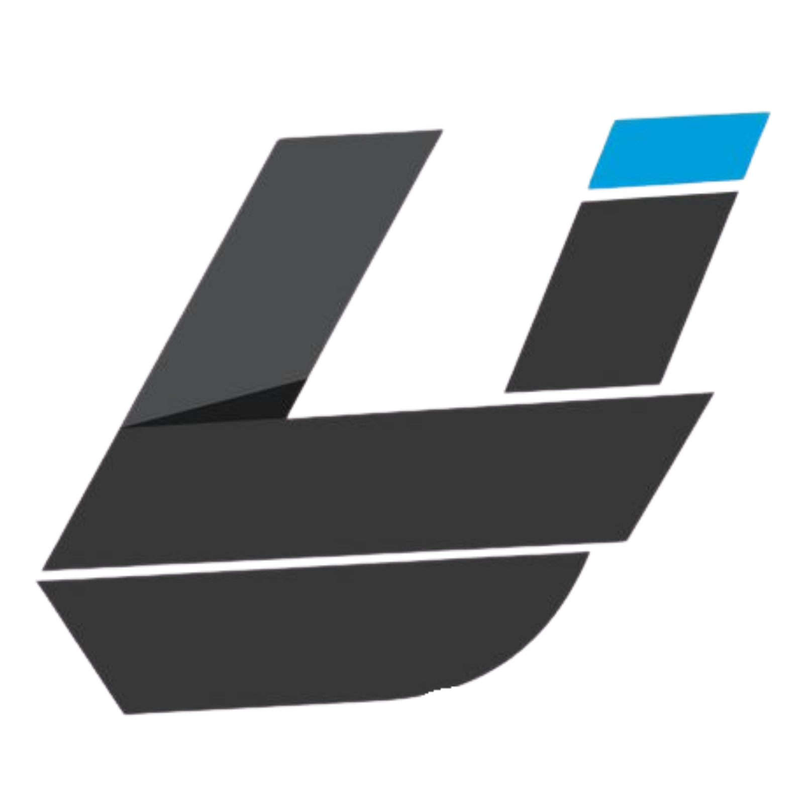 Lesynem Logo